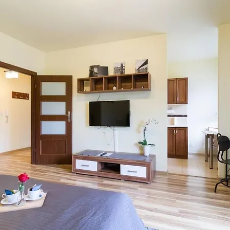 Przytulny Apartament Z Parkingiem Blisko Tauron Areny Krakow Exterior photo